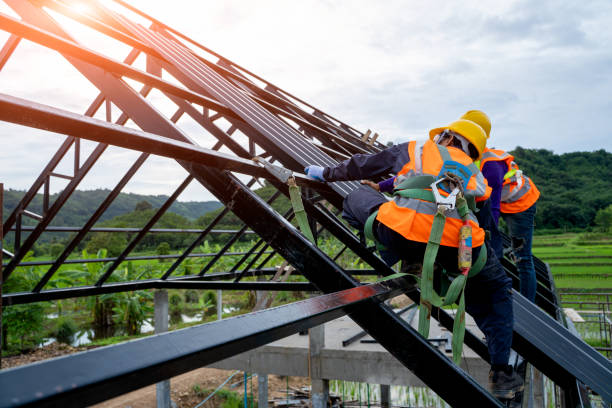 Professional Roofing Contractor in Sausalito, CA